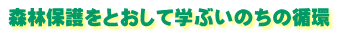 森林保護をとおして学ぶいのちの循環
